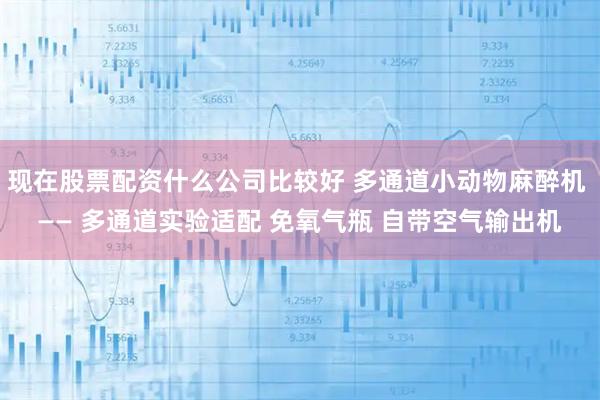 现在股票配资什么公司比较好 多通道小动物麻醉机 —— 多通道实验适配 免氧气瓶 自带空气输出机