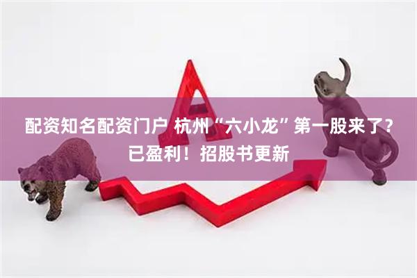 配资知名配资门户 杭州“六小龙”第一股来了？已盈利！招股书更新